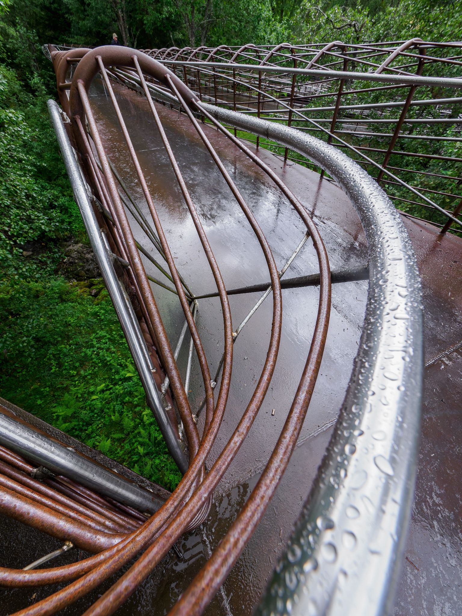 250813 0950 H  2HR0095 DxO DeepPRIME XD2s